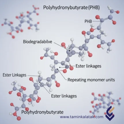 PolyHydroxyButyrate (PHB)